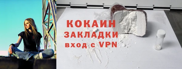 ГАЛЛЮЦИНОГЕННЫЕ ГРИБЫ Гусев