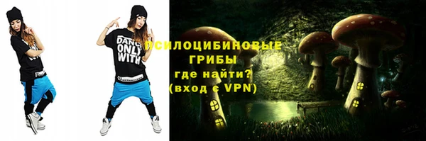 ГАЛЛЮЦИНОГЕННЫЕ ГРИБЫ Гусев