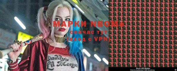 ГАЛЛЮЦИНОГЕННЫЕ ГРИБЫ Гусев