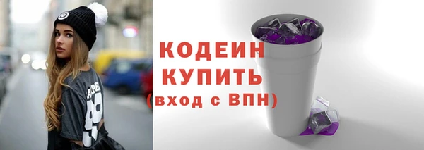 ГАЛЛЮЦИНОГЕННЫЕ ГРИБЫ Гусев