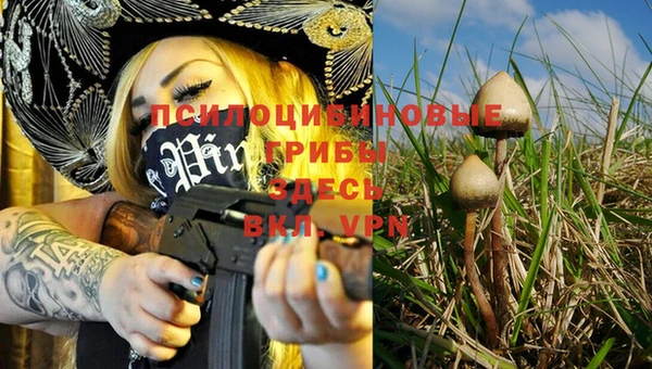 ГАЛЛЮЦИНОГЕННЫЕ ГРИБЫ Гусев