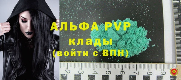 ГАЛЛЮЦИНОГЕННЫЕ ГРИБЫ Гусев