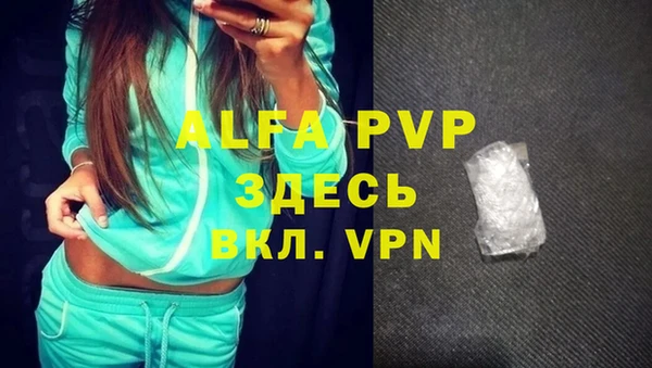 ГАЛЛЮЦИНОГЕННЫЕ ГРИБЫ Гусев