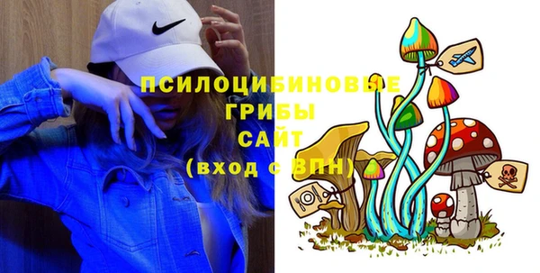 ПСИЛОЦИБИНОВЫЕ ГРИБЫ Гусь-Хрустальный
