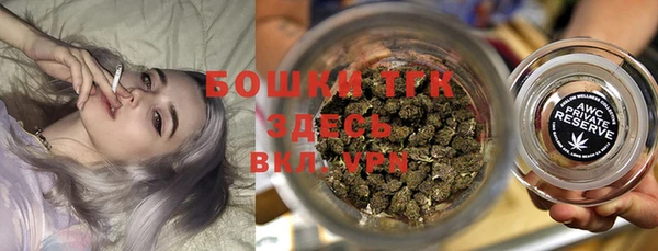 ГАЛЛЮЦИНОГЕННЫЕ ГРИБЫ Гусев