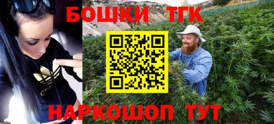индика Волжский