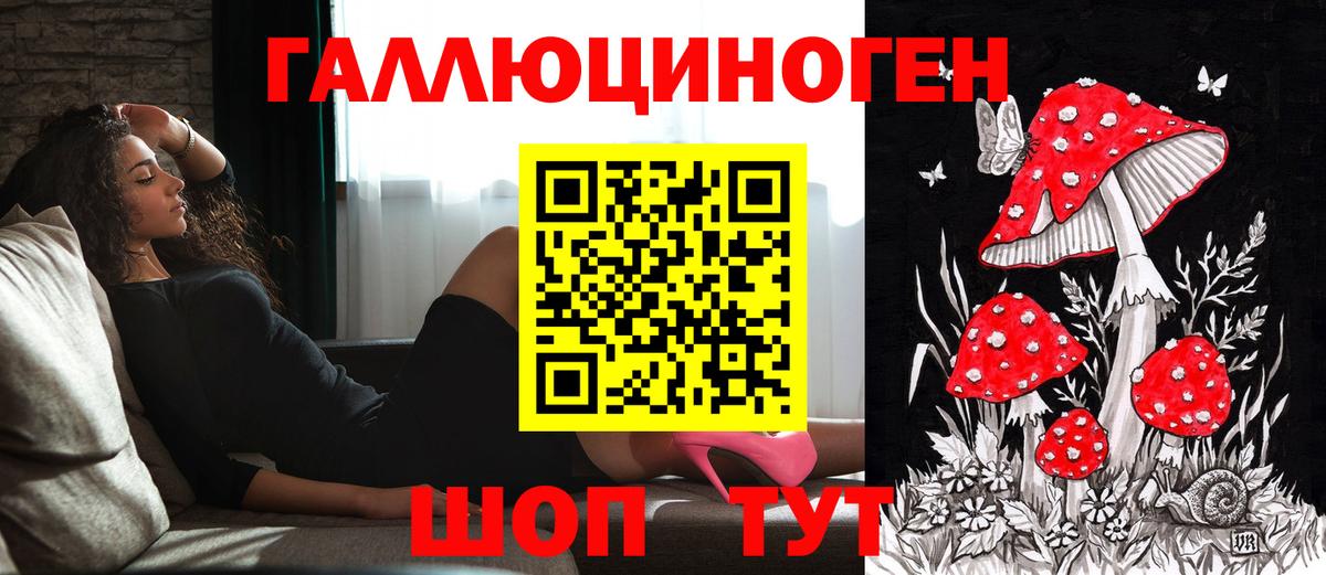 Псилоцибиновые грибы GOLDEN TEACHER  Воркута 